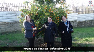 Voyage au vatican 47